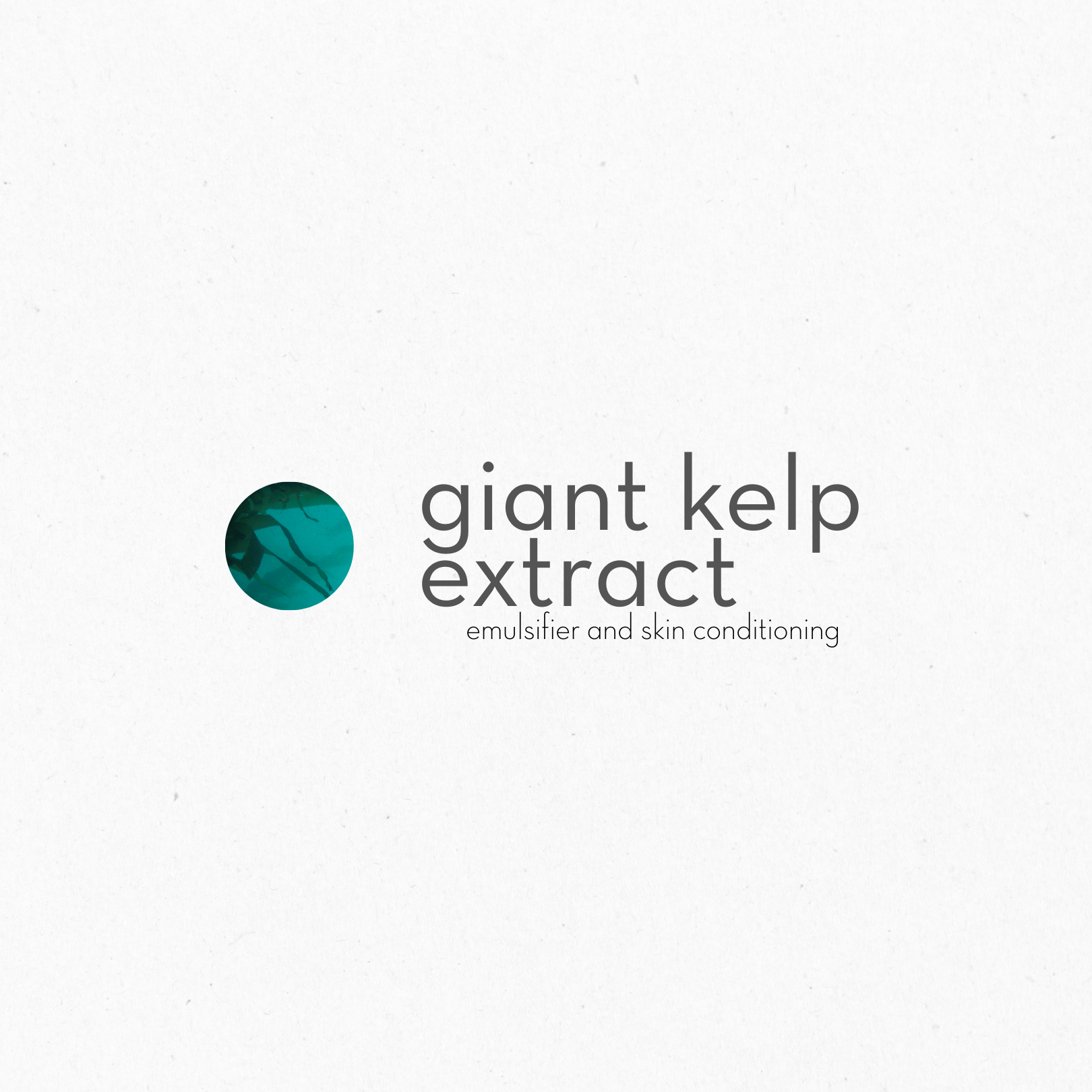 Giant kelp extract